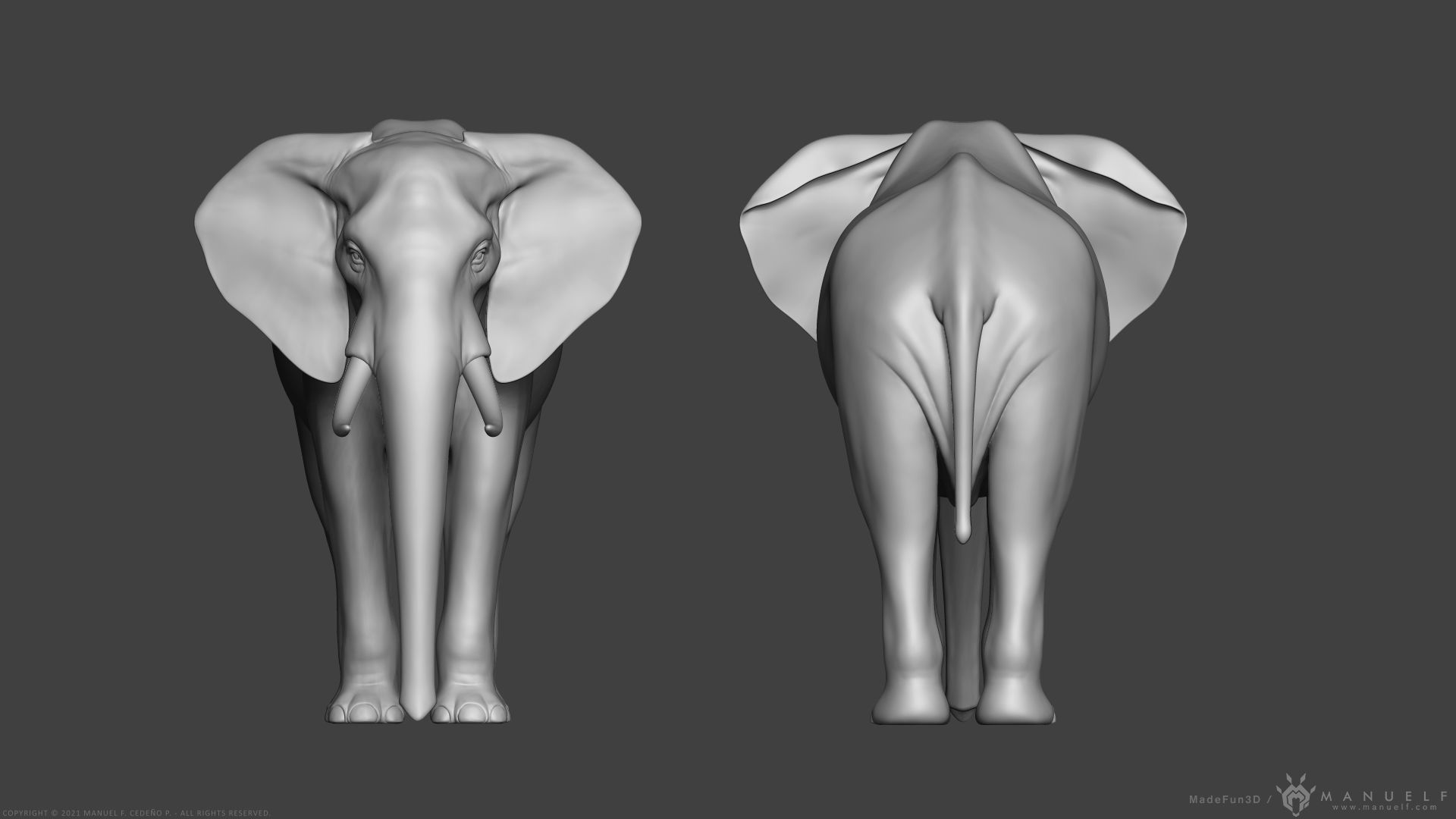 African Bush Elephant 3D model_10