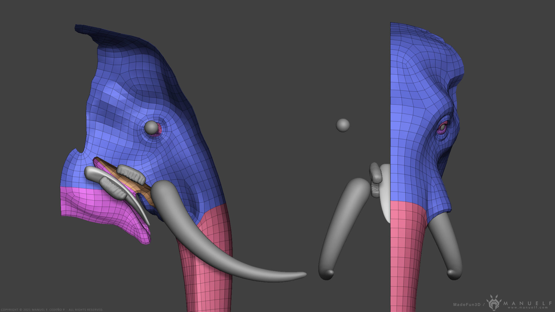 African Bush Elephant 3D model_15