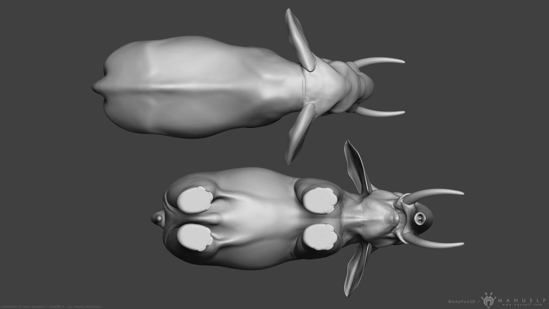 African Bush Elephant 3D model_9