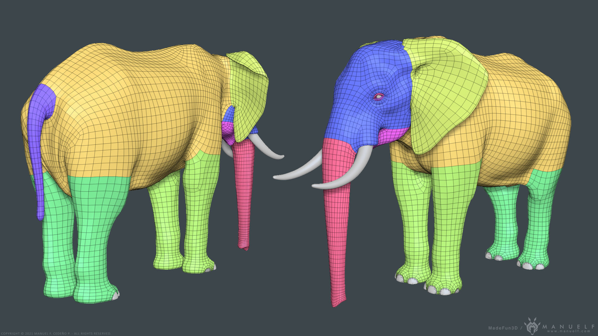 African Bush Elephant 3D model_2