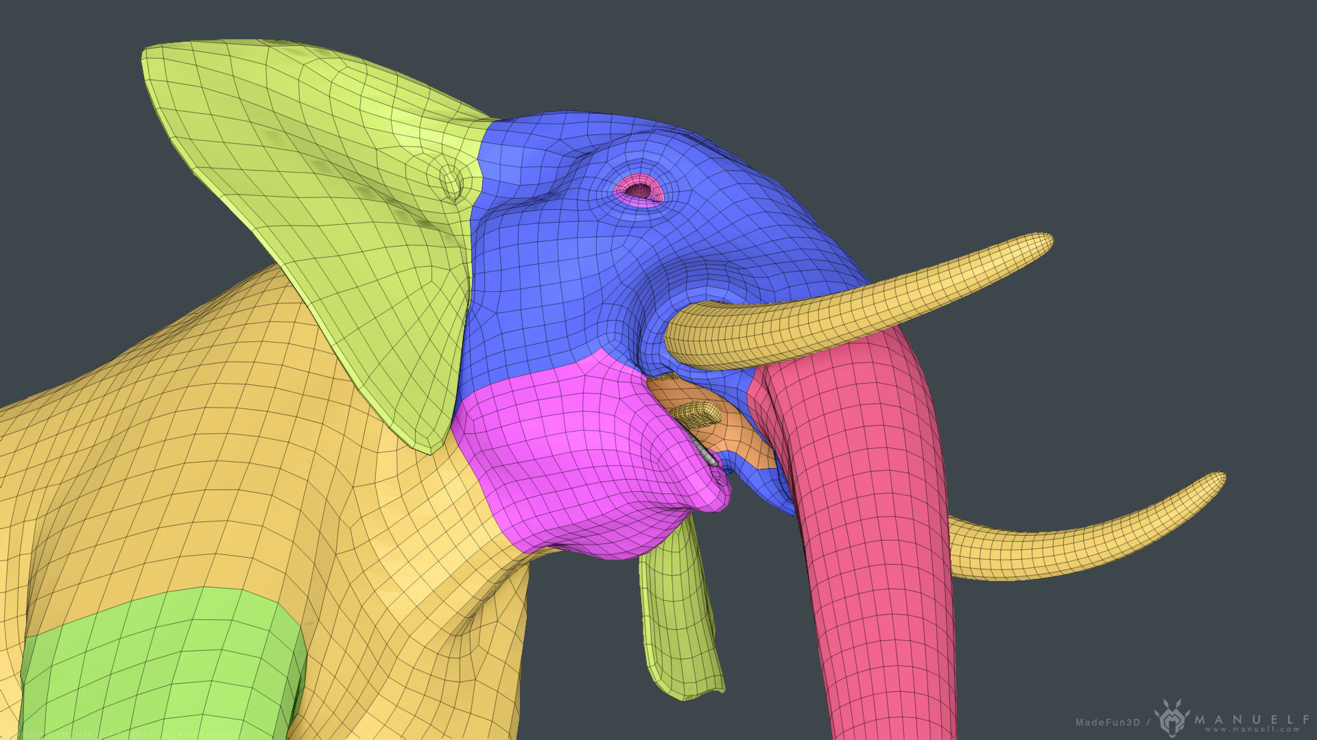 African Bush Elephant 3D model_24