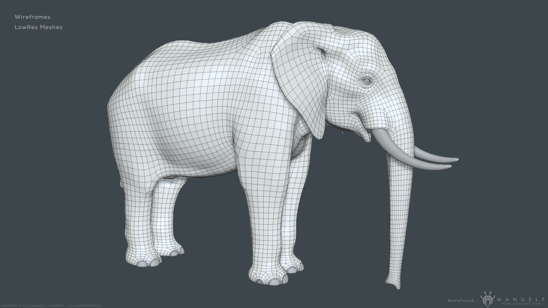 African Bush Elephant 3D model_21