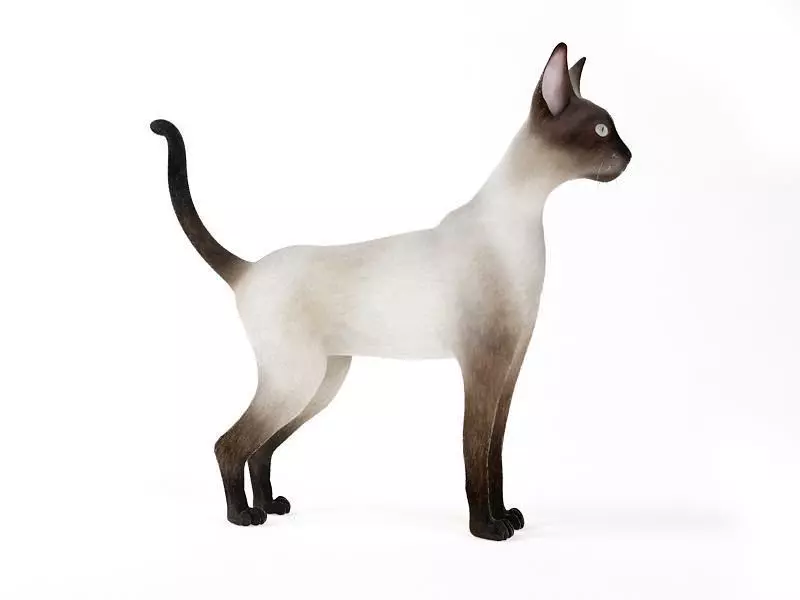 Tall Cat 3D model_0