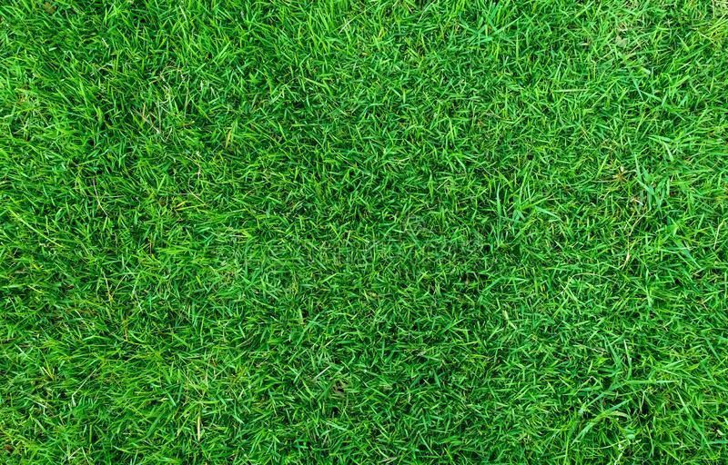 house with palm trees 3D model_11