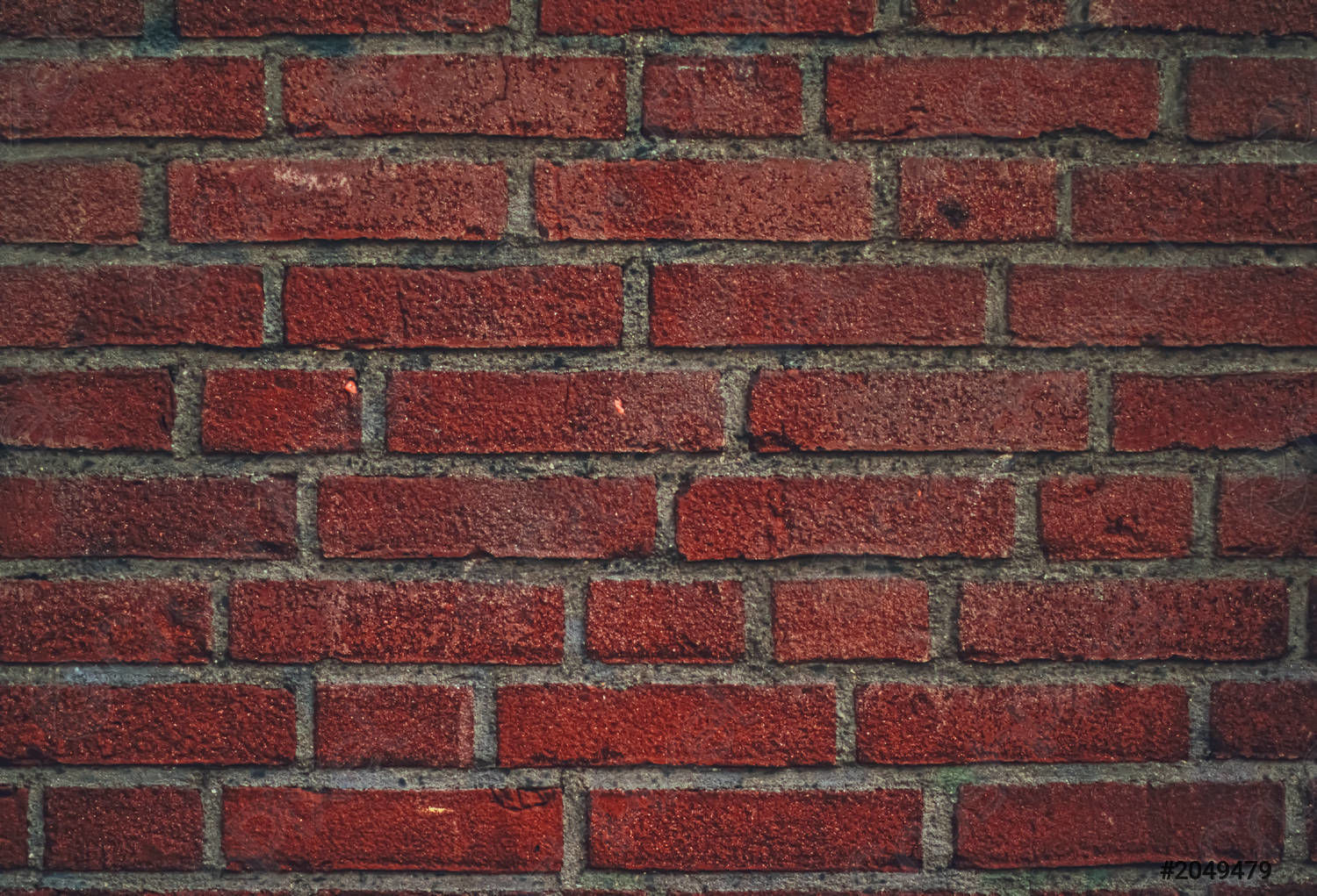 house with palm trees 3D model_16