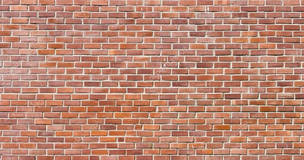 house with palm trees 3D model_3