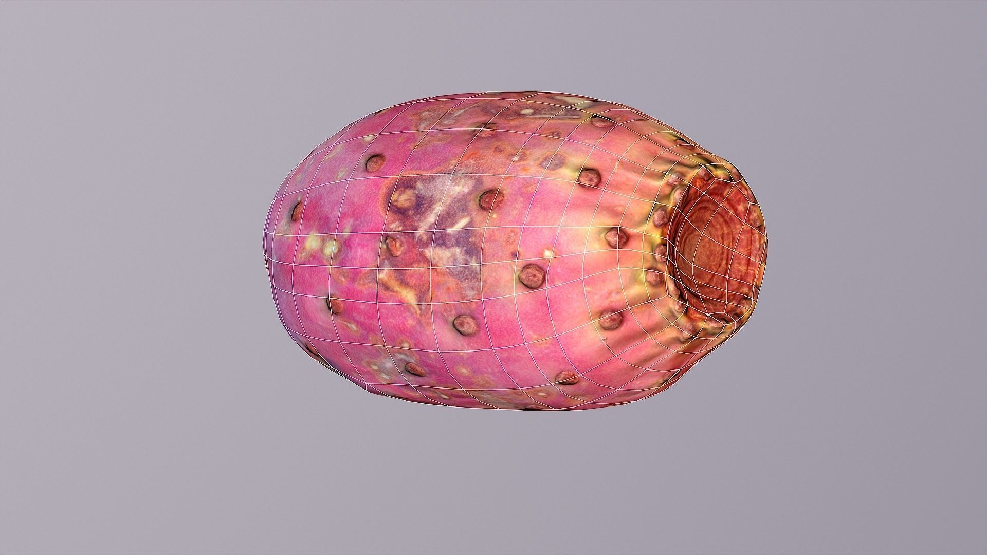 Prickly pear 01 Low-poly 3D model_11