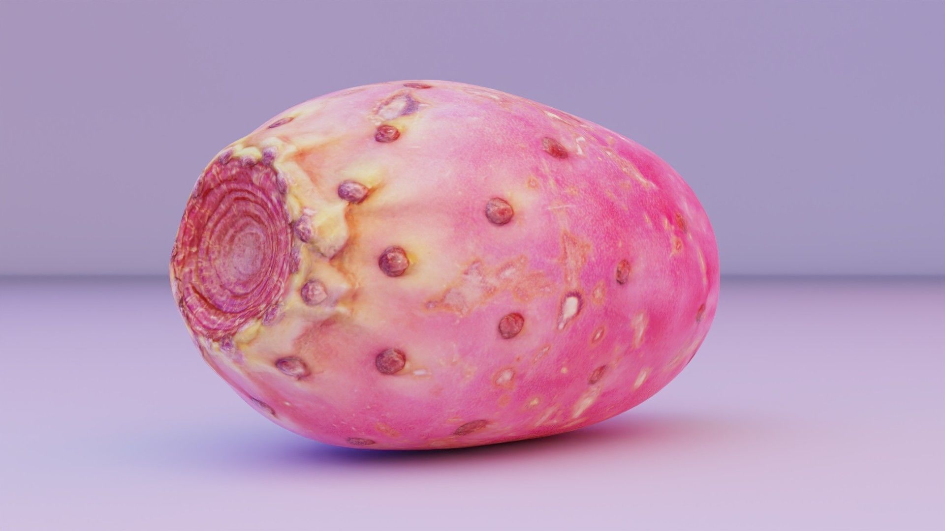 Prickly pear 01 Low-poly 3D model_1