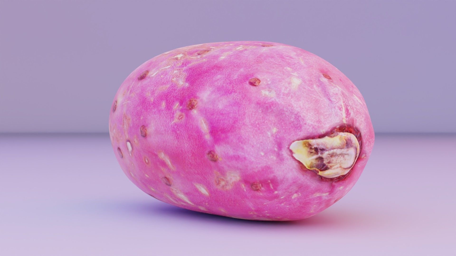 Prickly pear 01 Low-poly 3D model_2