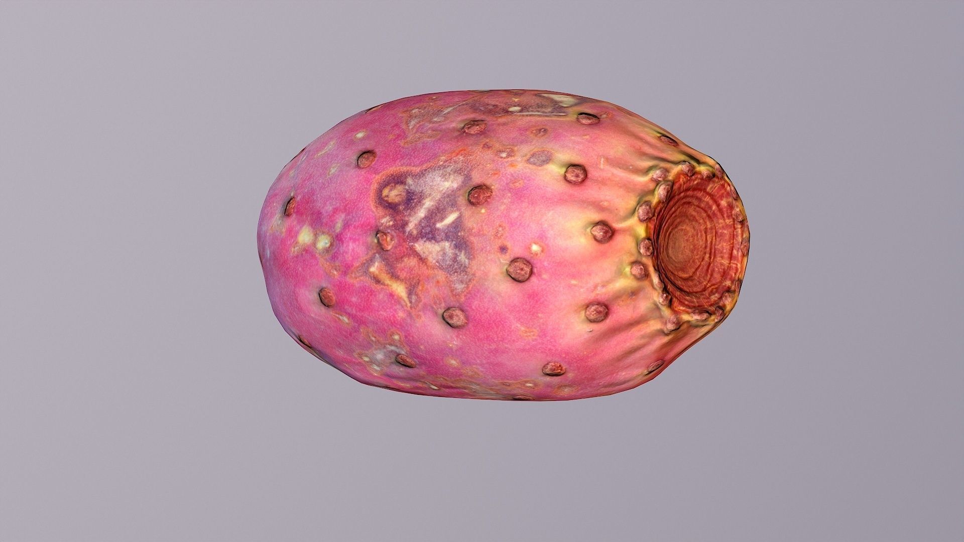 Prickly pear 01 Low-poly 3D model_10