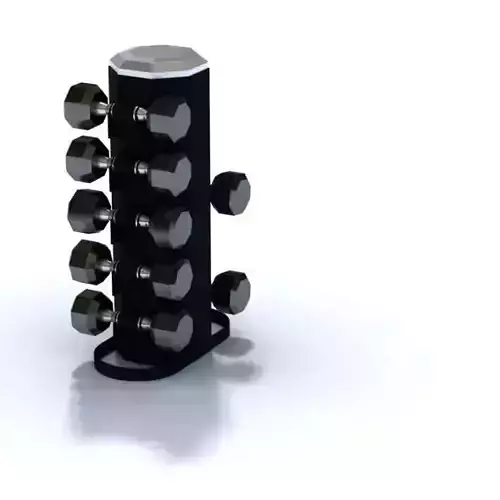 Sports Weight Collection Equipment