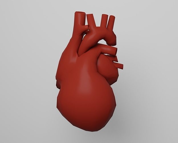 Heart human Low-poly 3D model