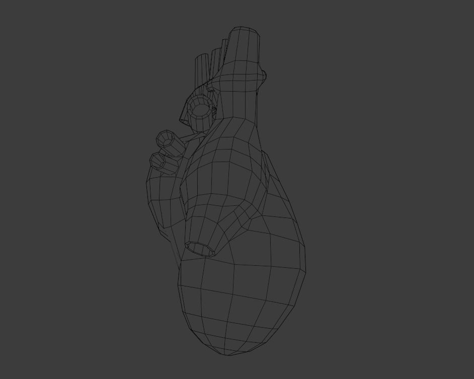 Heart human Low-poly 3D model_4