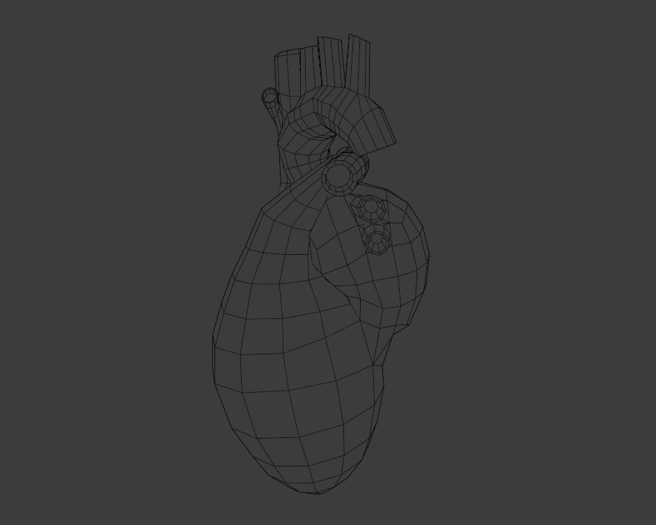 Heart human Low-poly 3D model_8