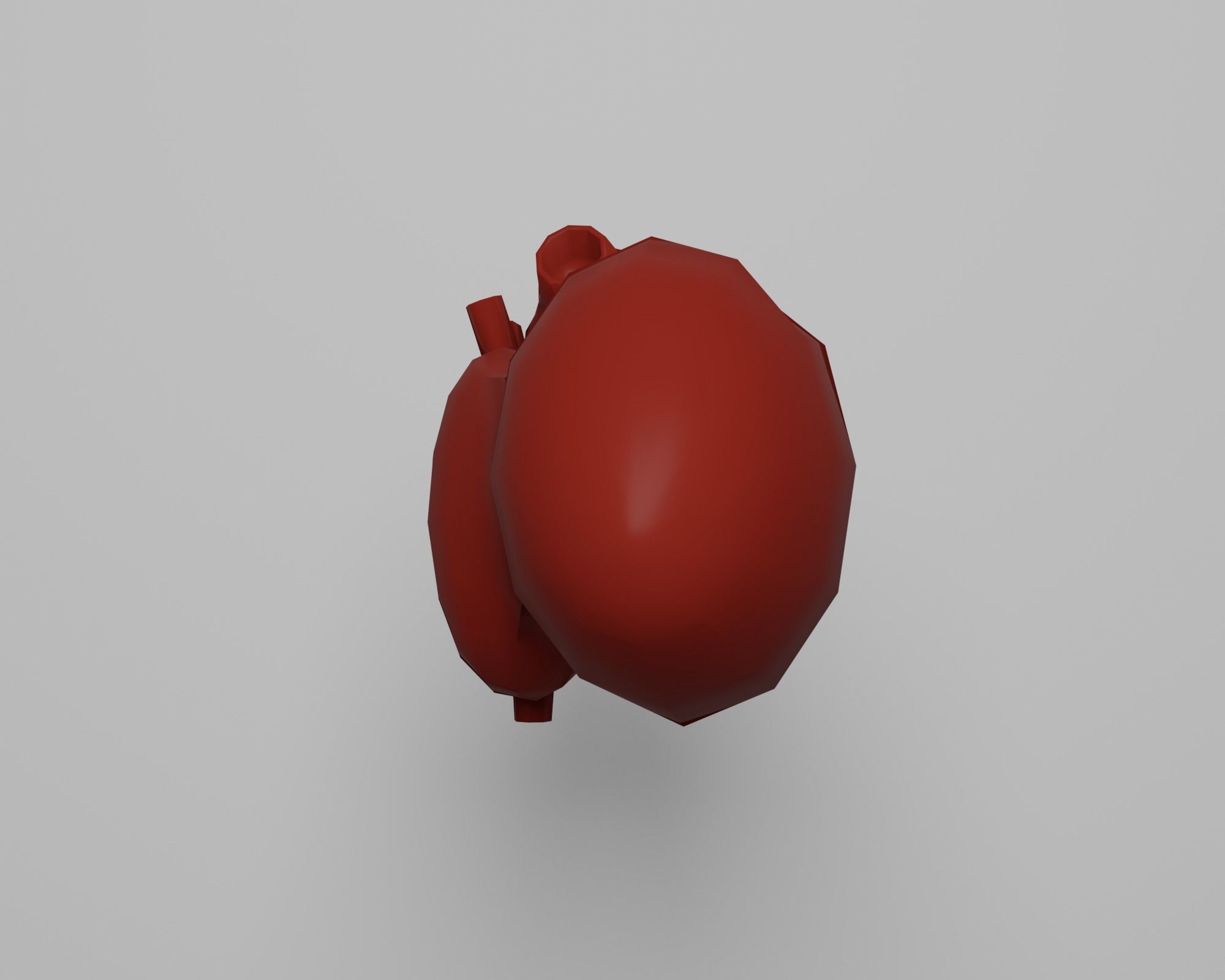 Heart human Low-poly 3D model_11