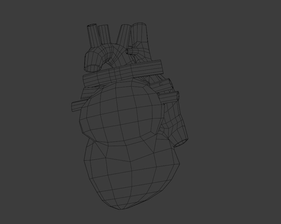 Heart human Low-poly 3D model_6