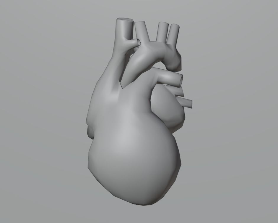Heart human Low-poly 3D model_1