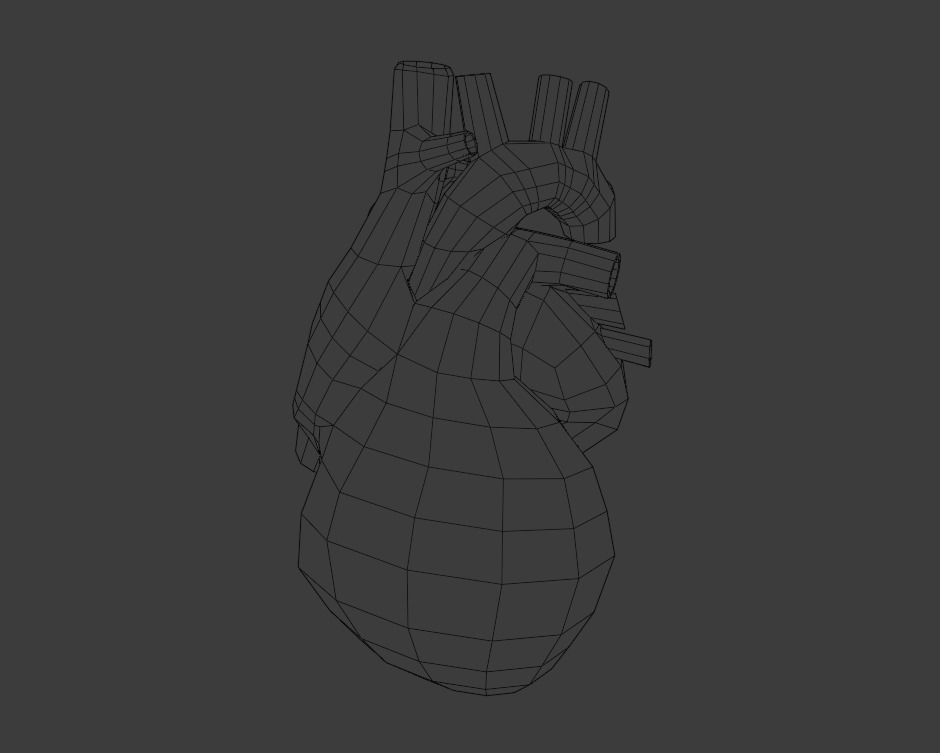 Heart human Low-poly 3D model_2