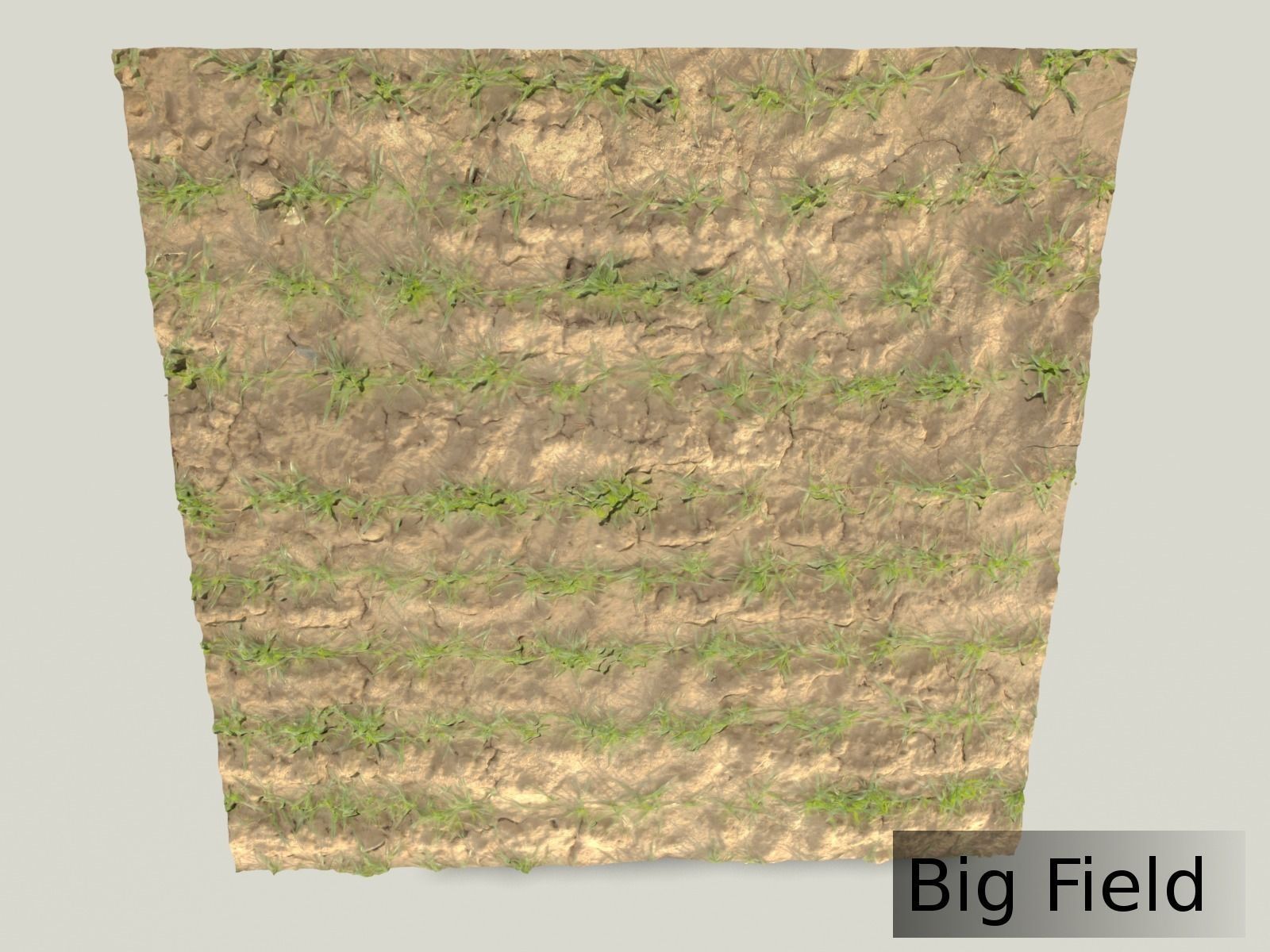 Scanned Surface Collection With 4 Piecs PLUS Dark Rock 3D model_7