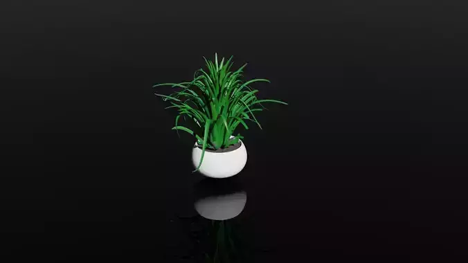 Grass pot