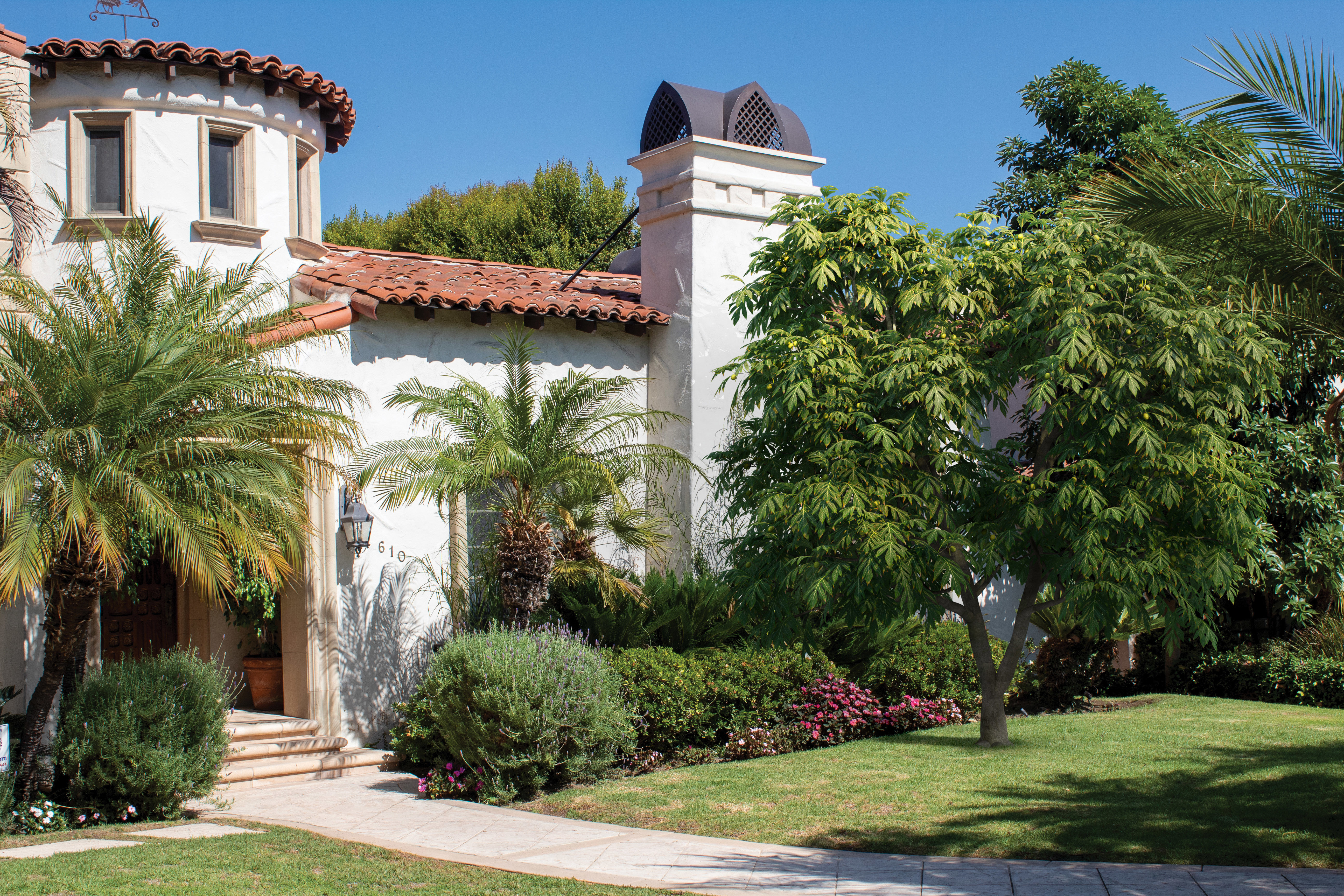 2021 PBR Breadfruit Tree Collection - Artocarpus Altilis 3D model_2