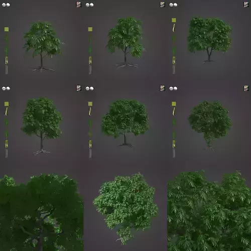 2021 PBR Breadfruit Tree Collection - Artocarpus Altilis  3D model