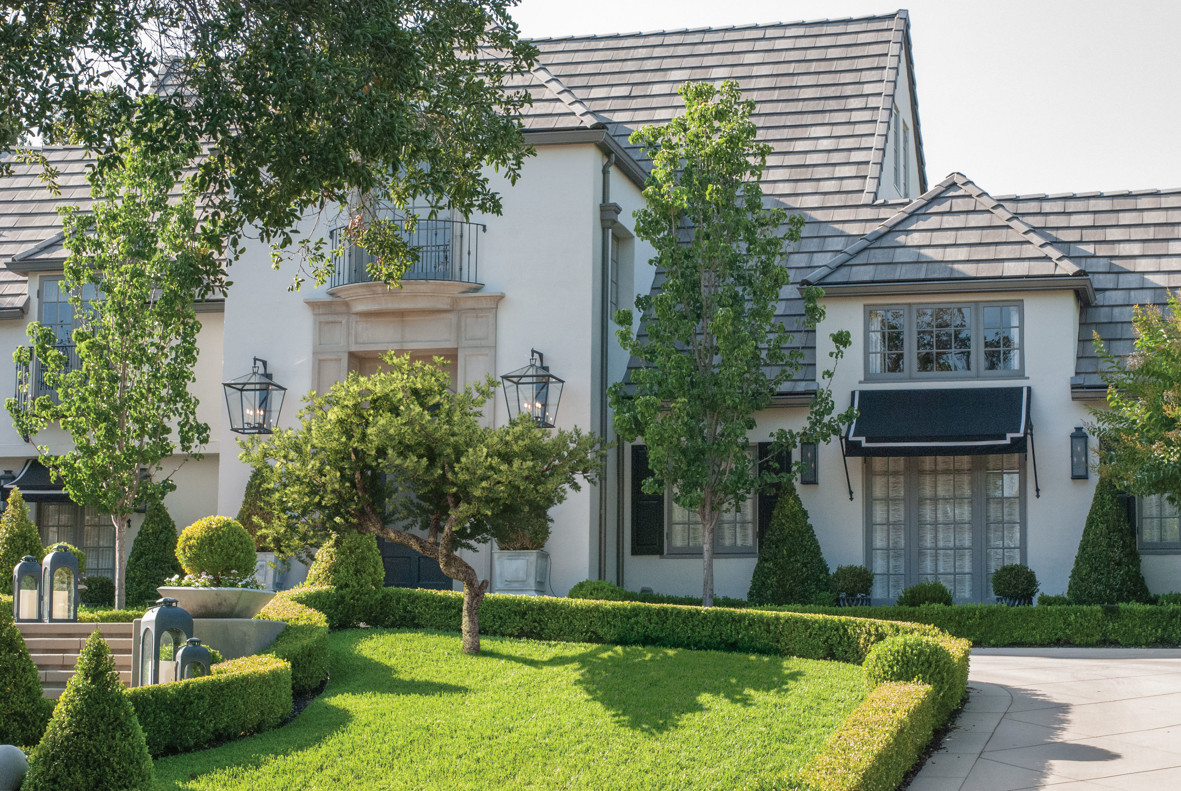 2021 PBR Pinyon Pine Collection - Pinus Edulis 3D model_2