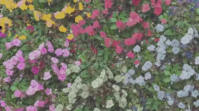 Flowers bush bundle - scanned Low-poly 3D model