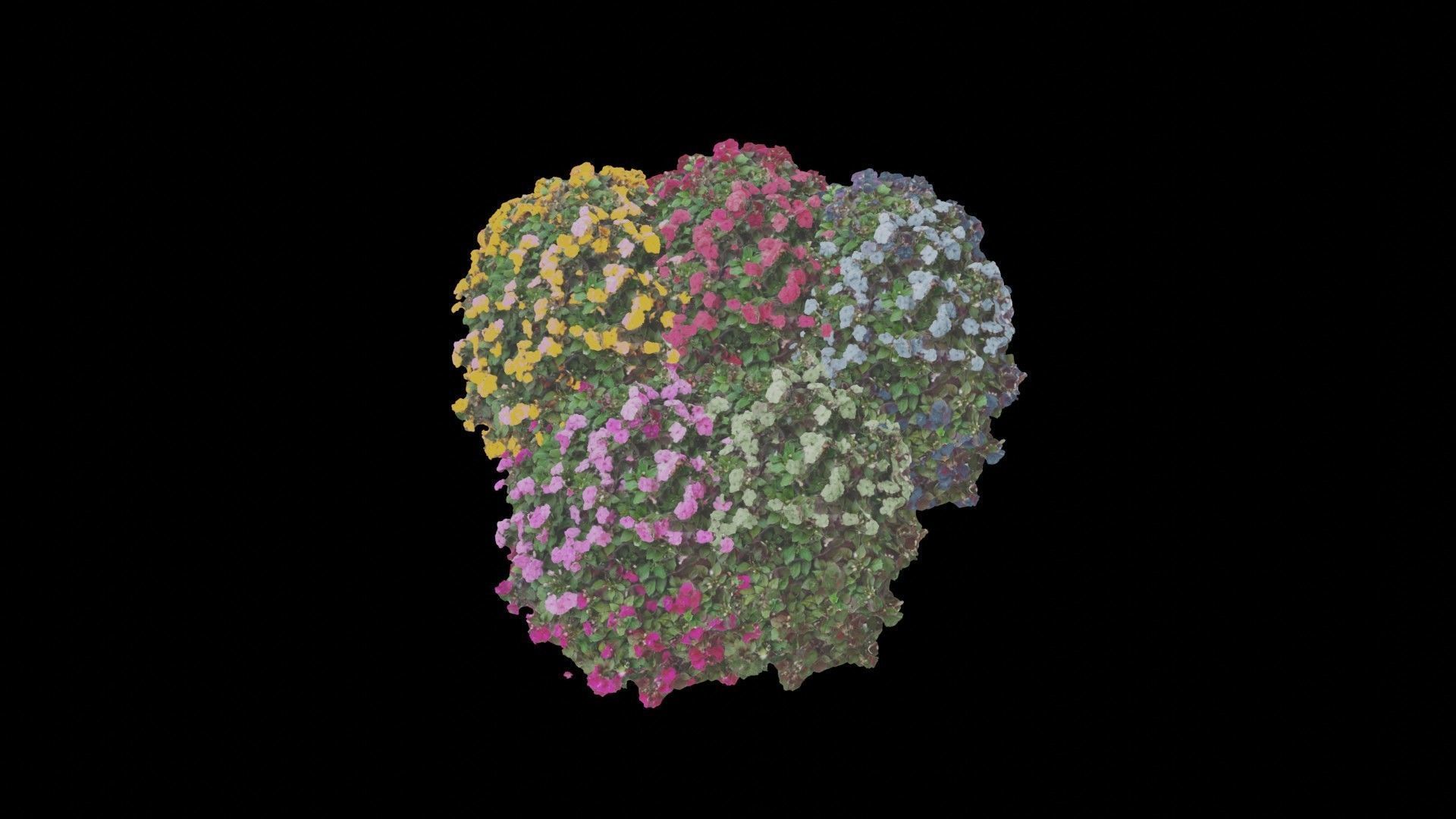 Flowers bush bundle - scanned Low-poly 3D model_53