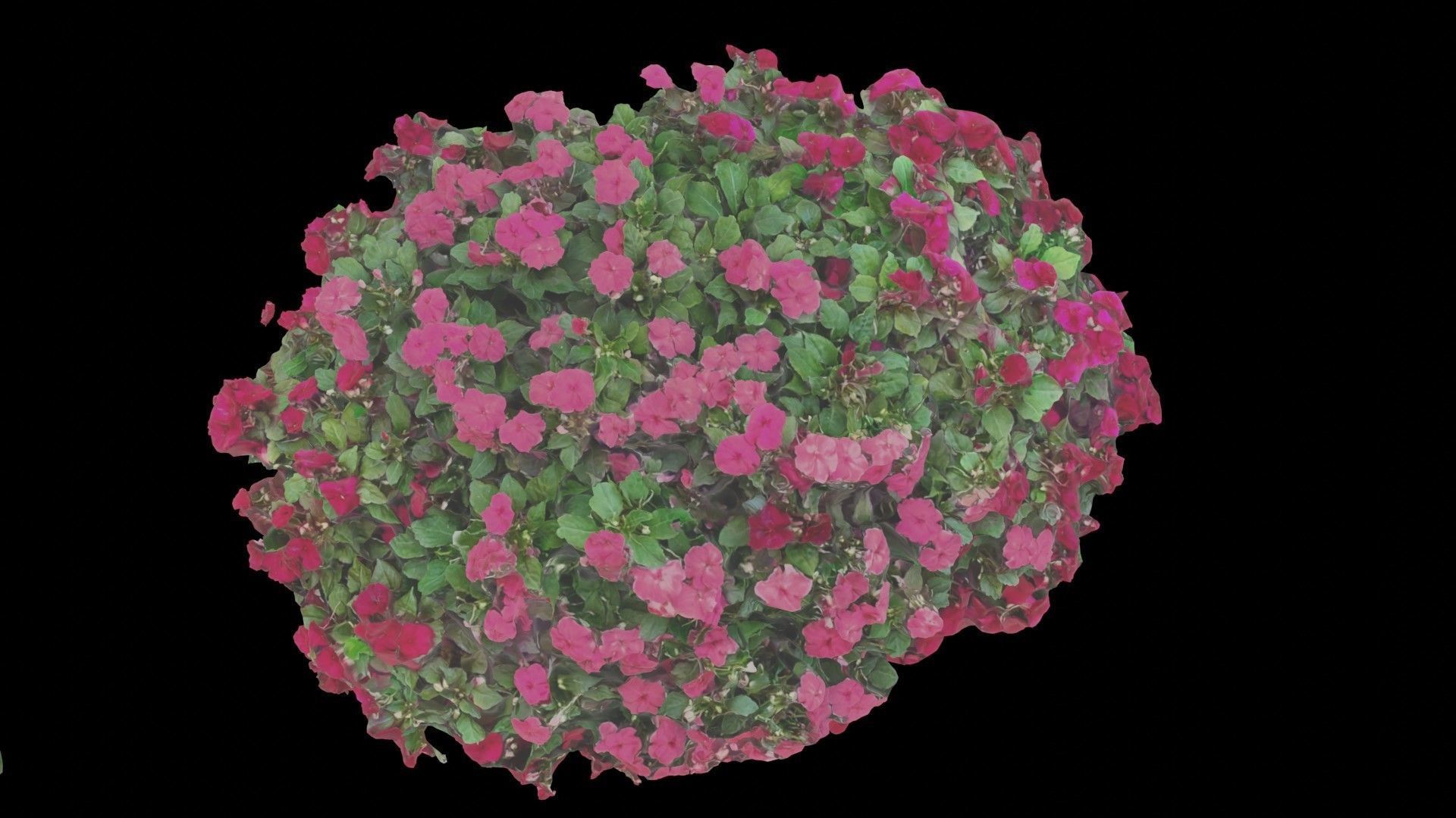 Flowers bush bundle - scanned Low-poly 3D model_23