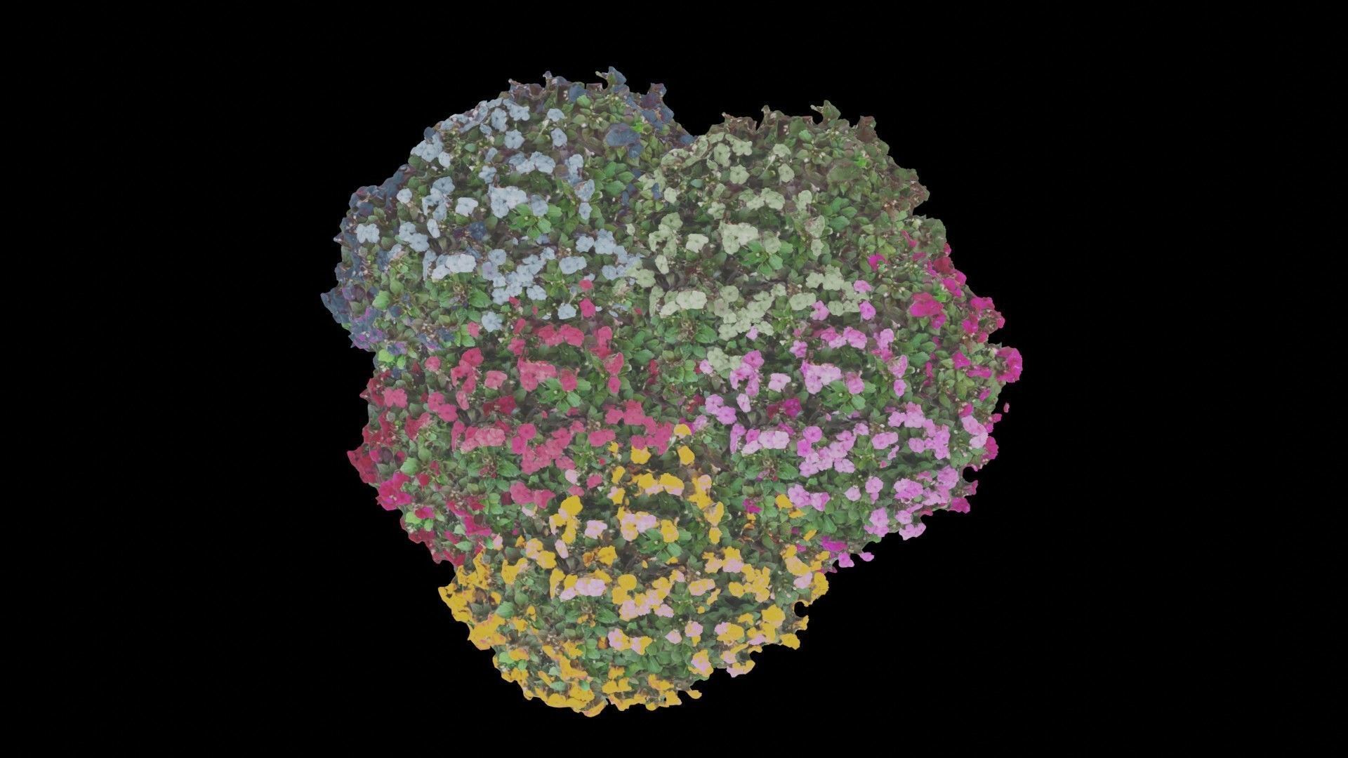 Flowers bush bundle - scanned Low-poly 3D model_49