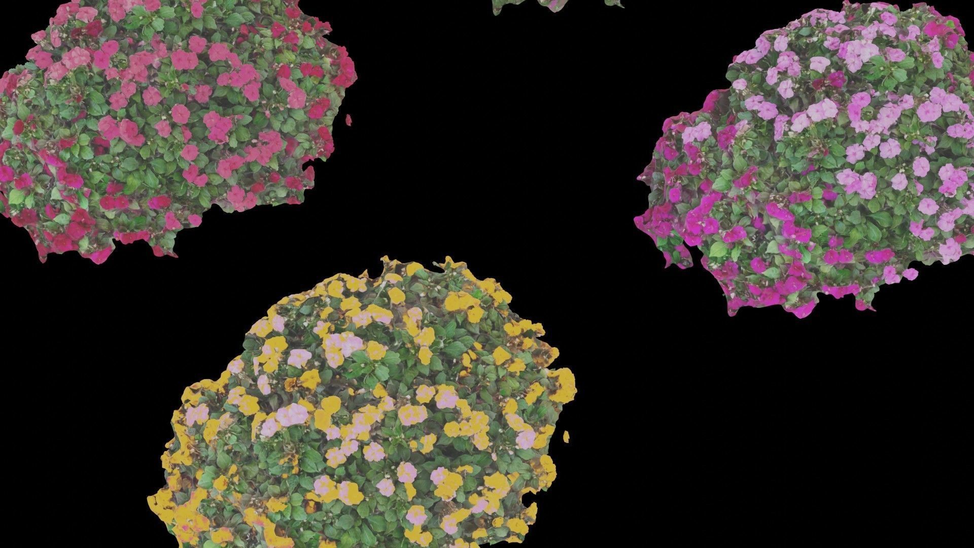 Flowers bush bundle - scanned Low-poly 3D model_50