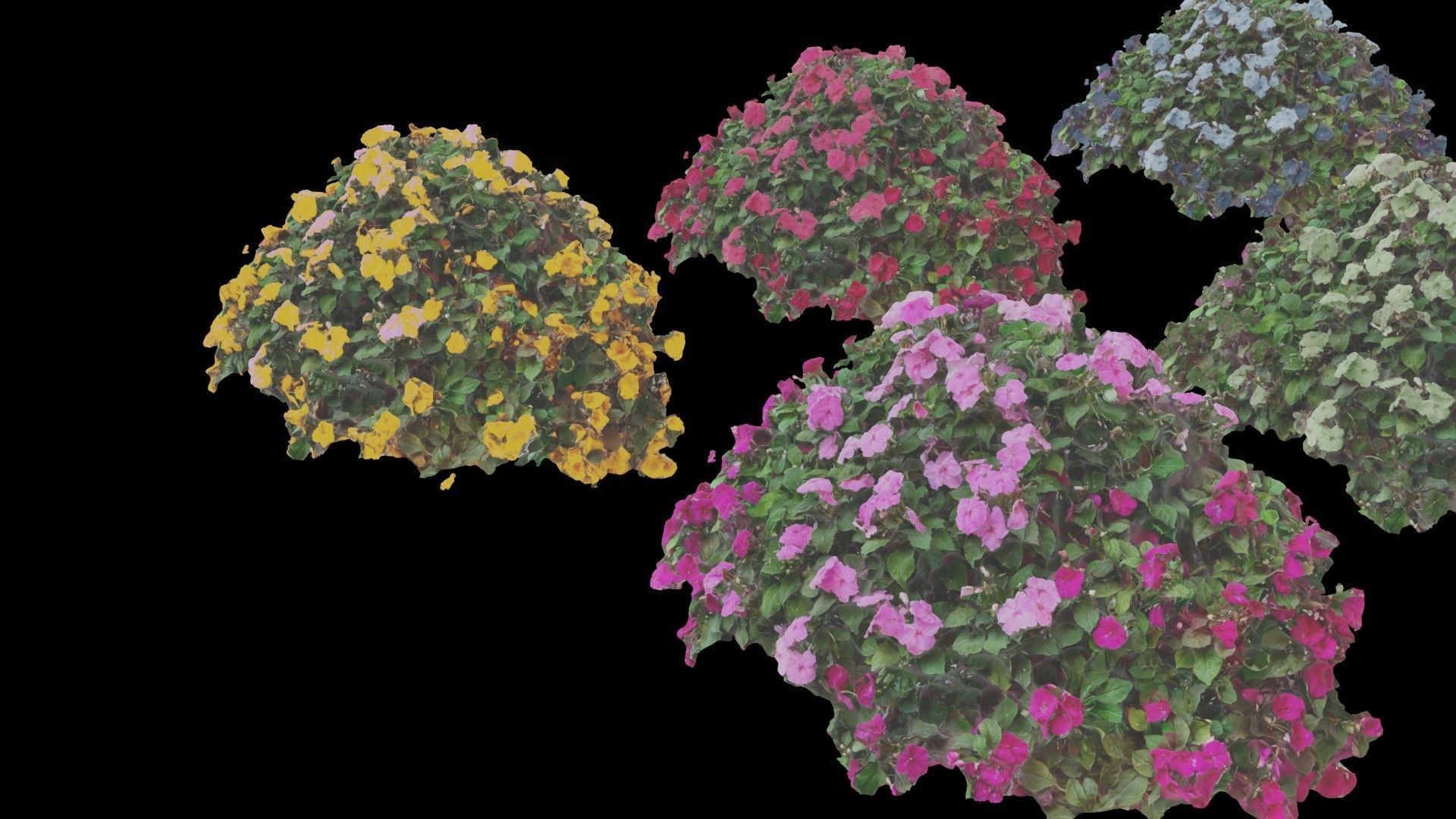 Flowers bush bundle - scanned Low-poly 3D model_48