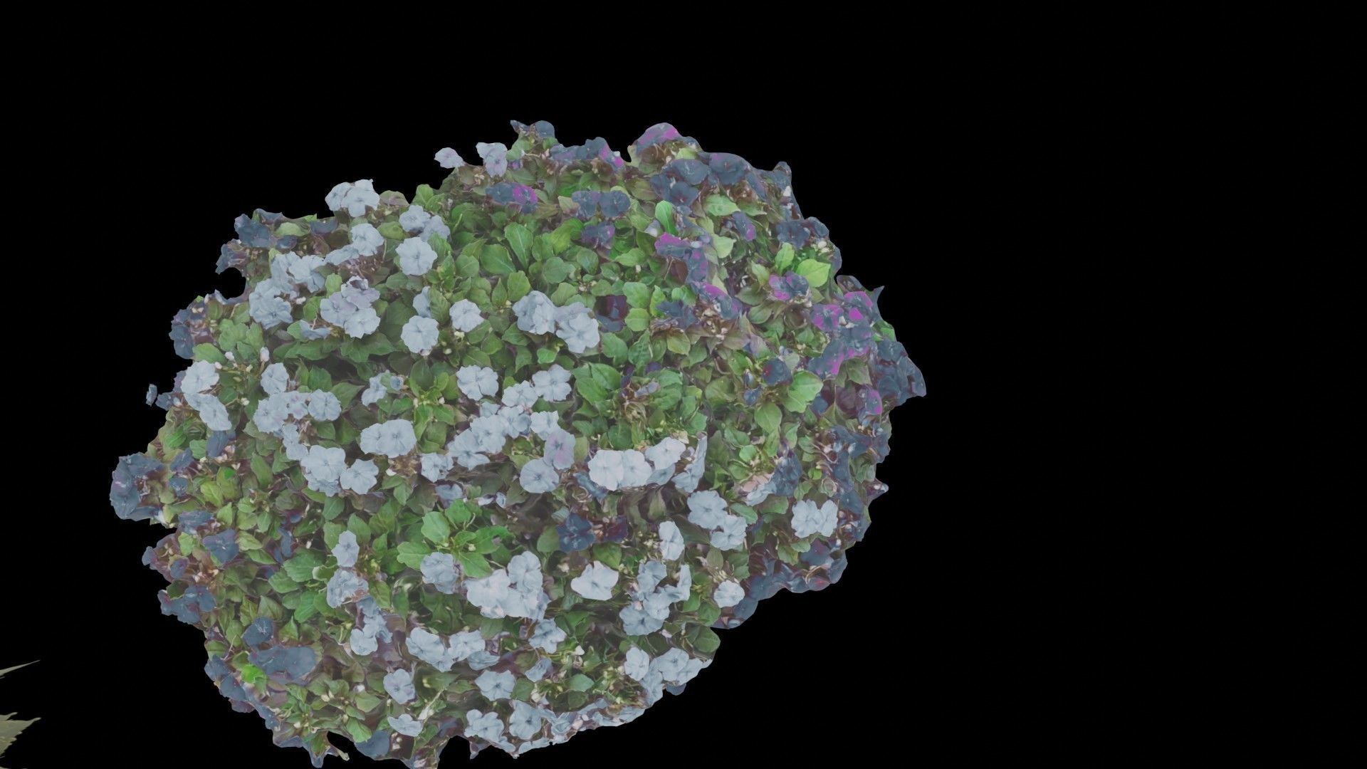 Flowers bush bundle - scanned Low-poly 3D model_24