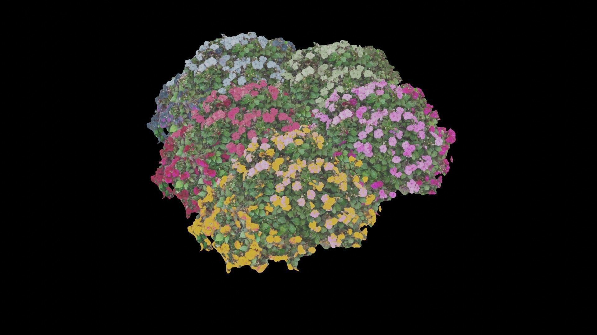 Flowers bush bundle - scanned Low-poly 3D model_47
