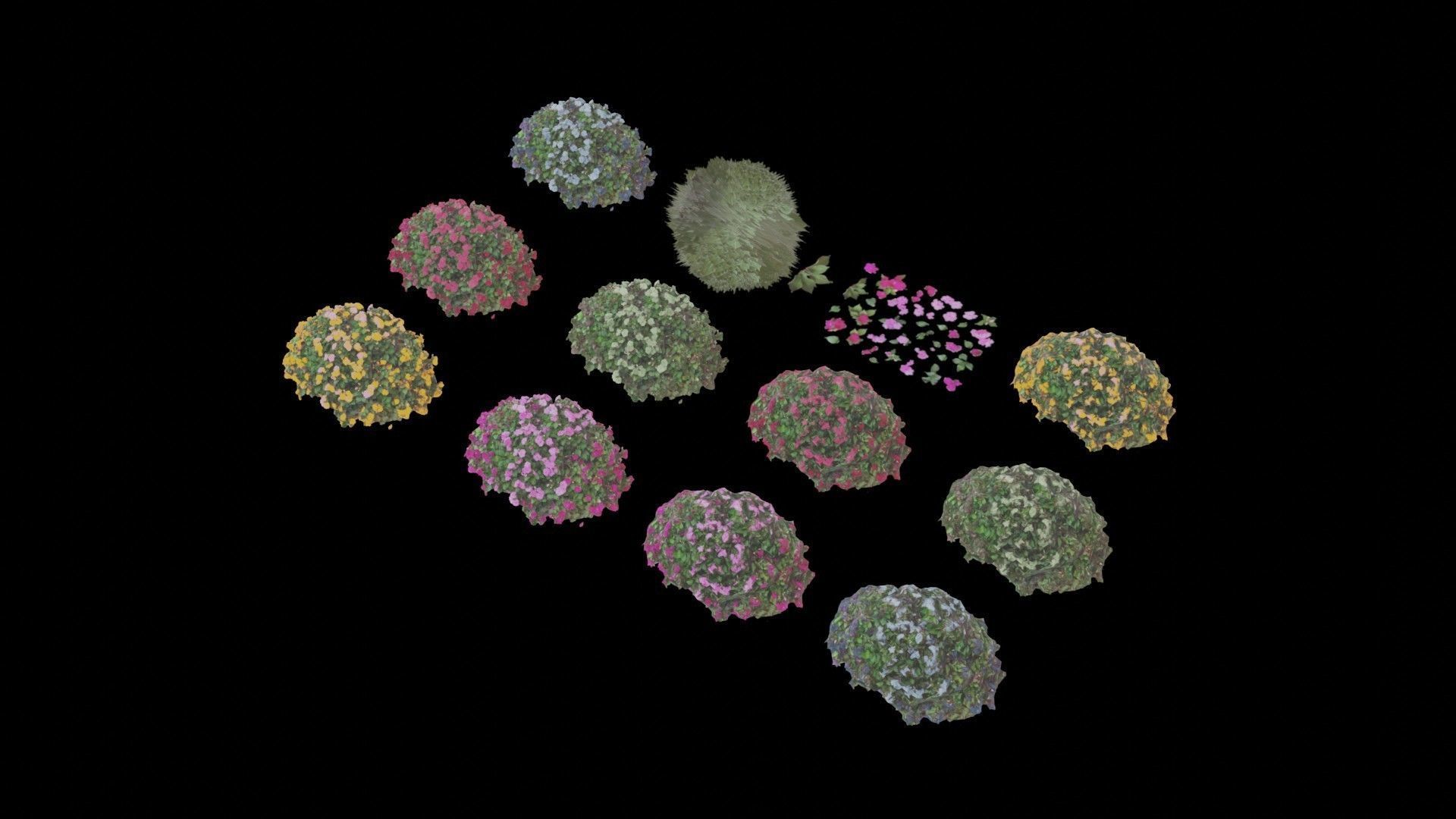 Flowers bush bundle - scanned Low-poly 3D model_28