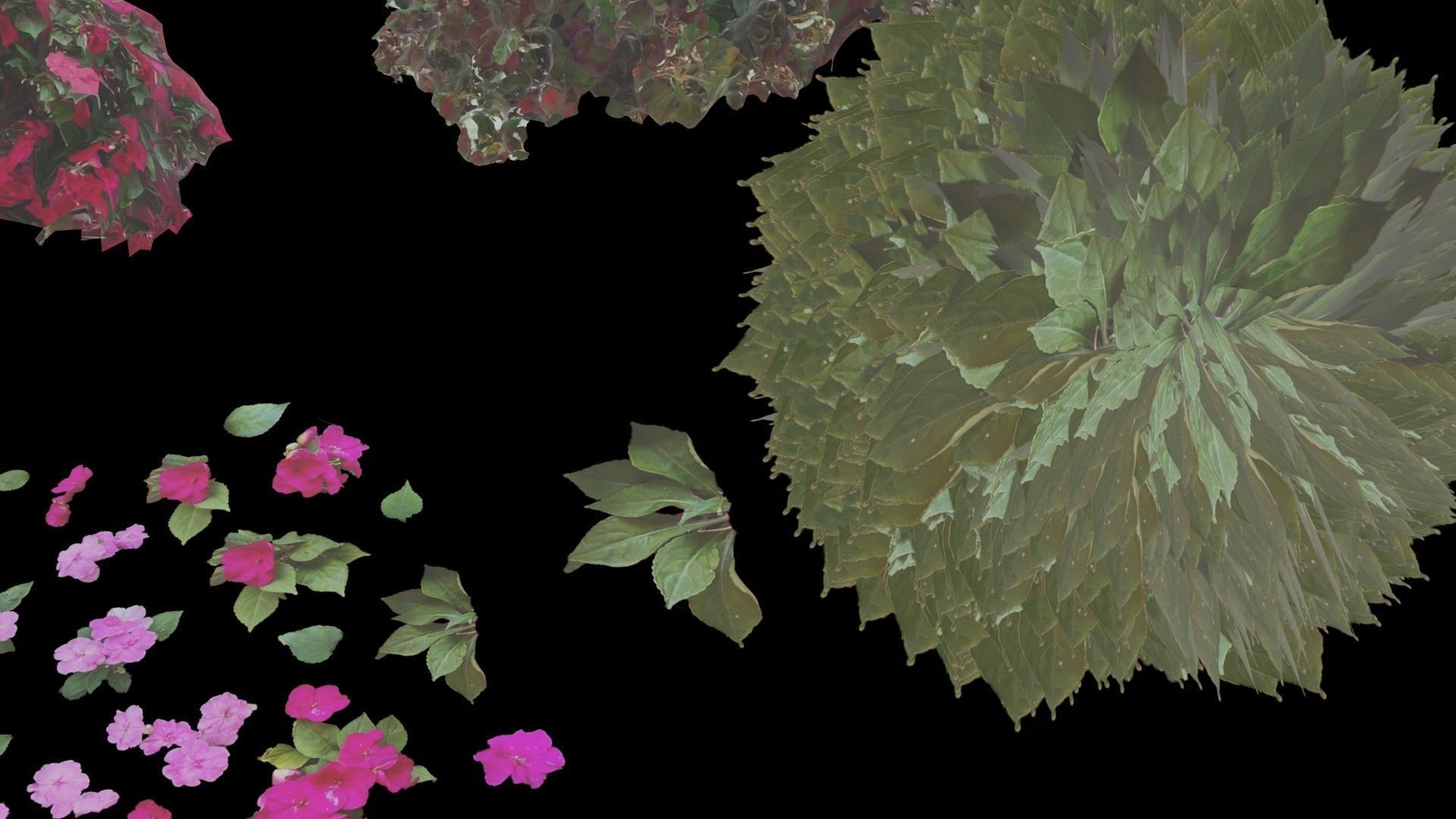 Flowers bush bundle - scanned Low-poly 3D model_18