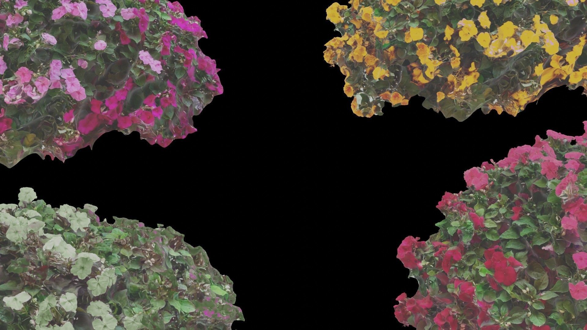 Flowers bush bundle - scanned Low-poly 3D model_2