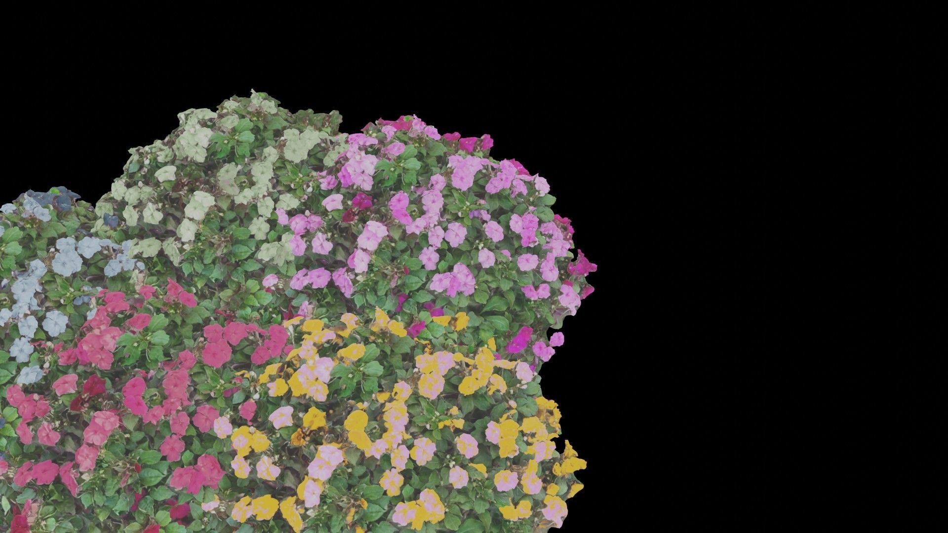 Flowers bush bundle - scanned Low-poly 3D model_10