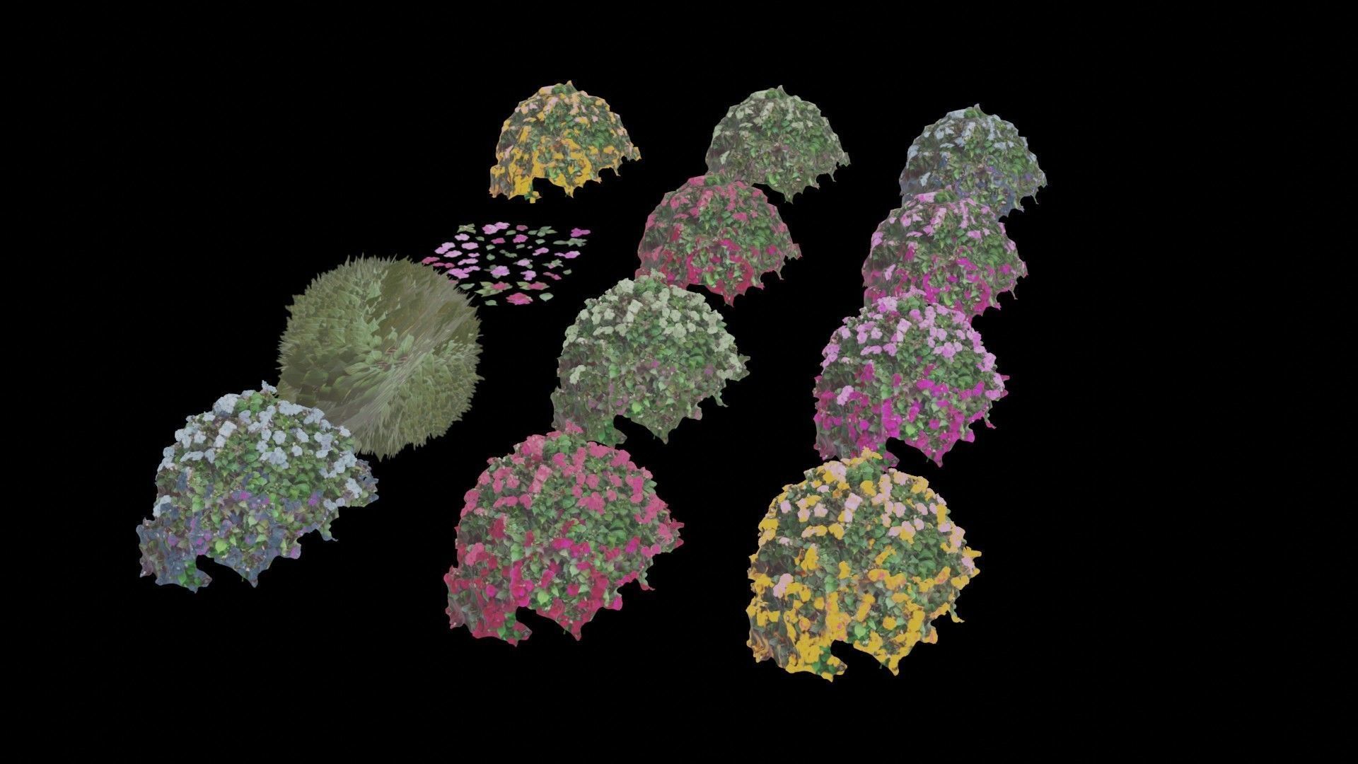Flowers bush bundle - scanned Low-poly 3D model_31