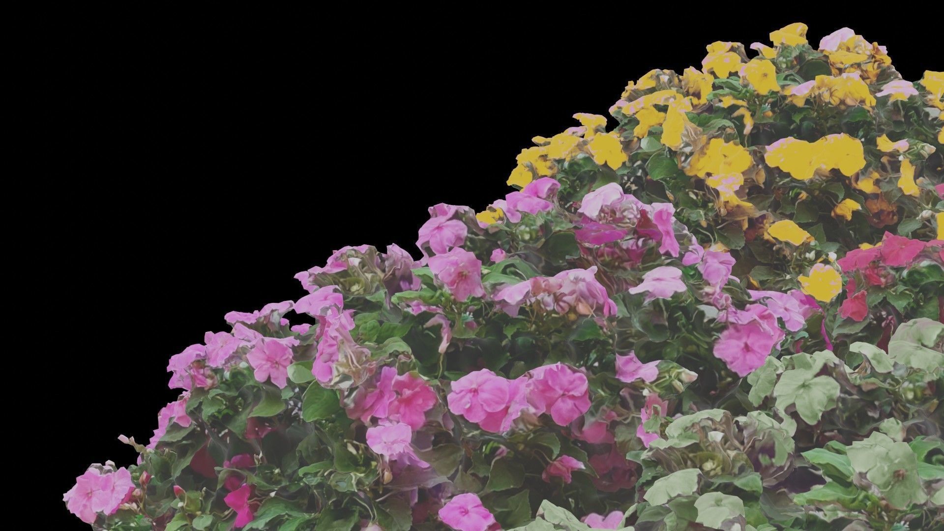 Flowers bush bundle - scanned Low-poly 3D model_16