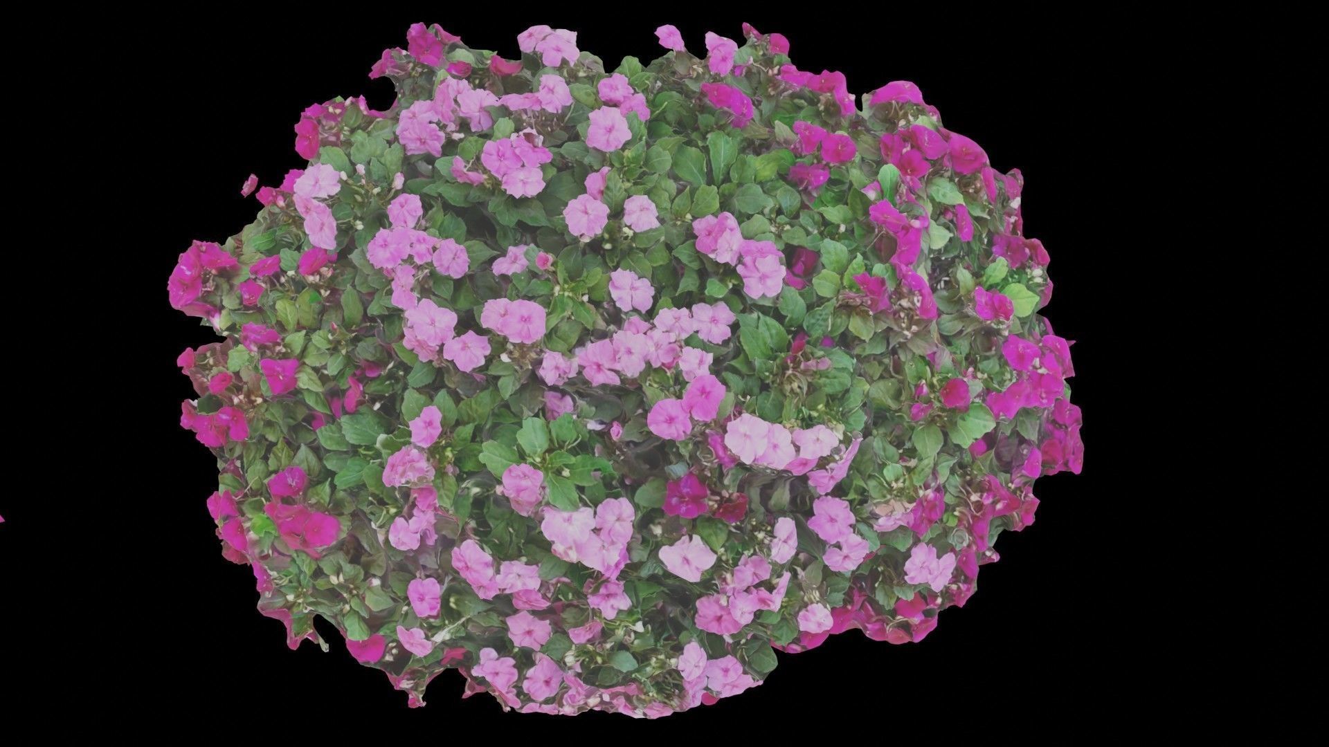 Flowers bush bundle - scanned Low-poly 3D model_21