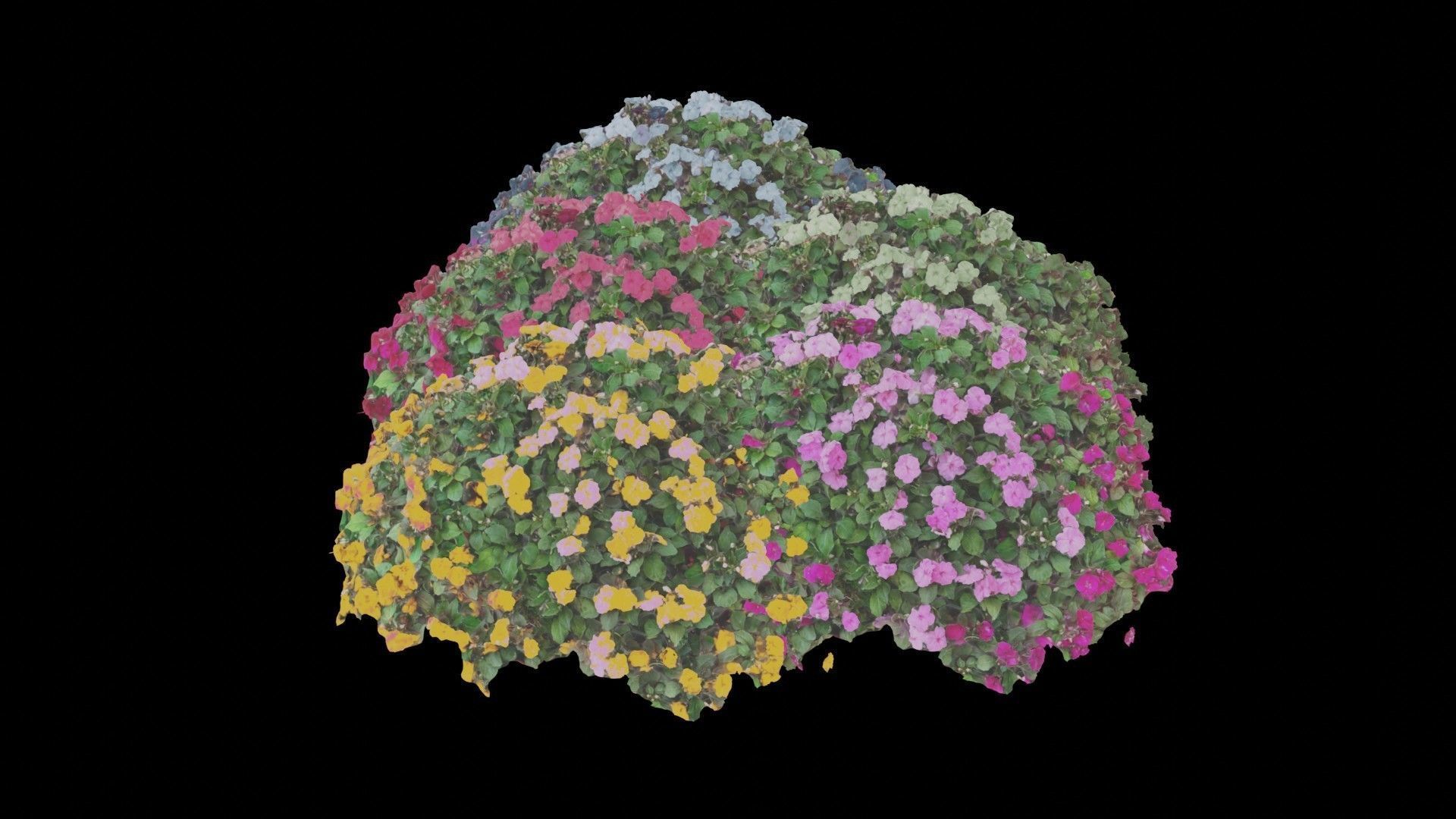 Flowers bush bundle - scanned Low-poly 3D model_40