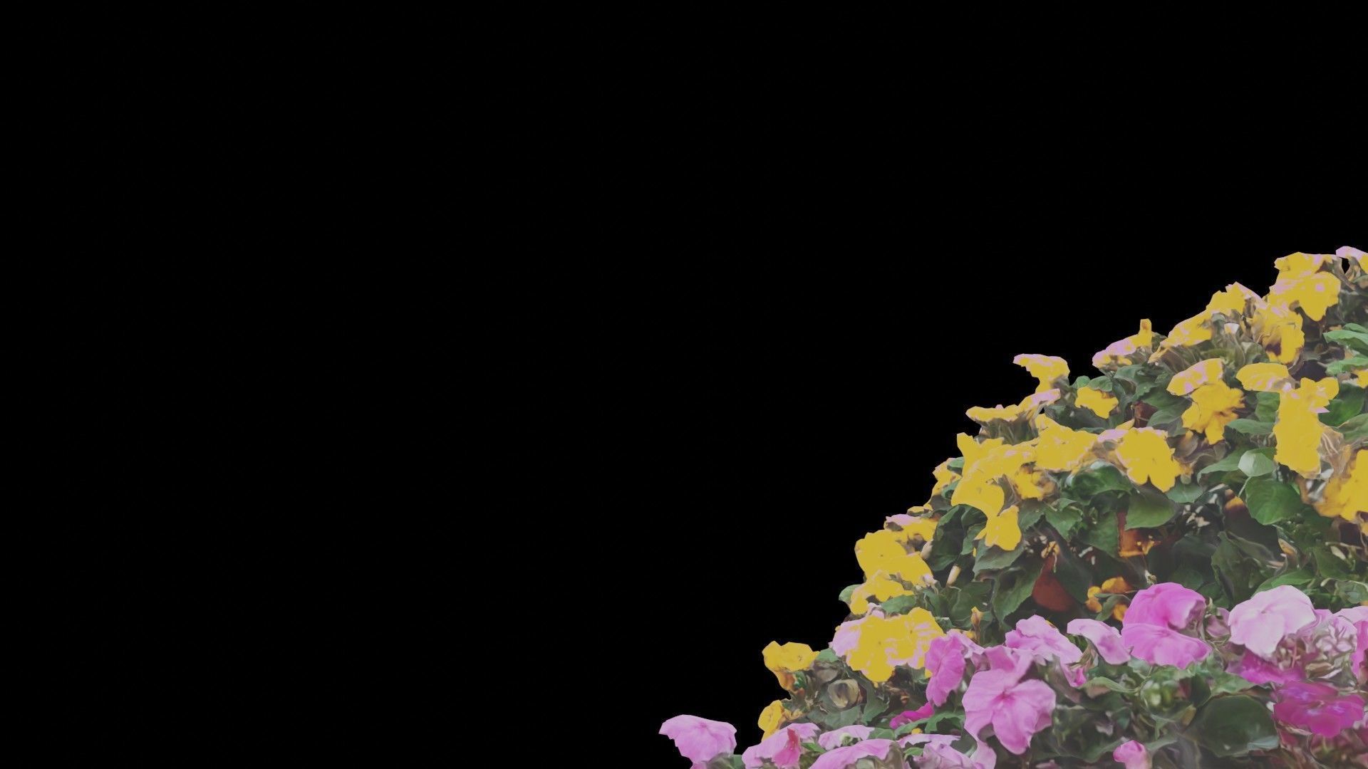 Flowers bush bundle - scanned Low-poly 3D model_17