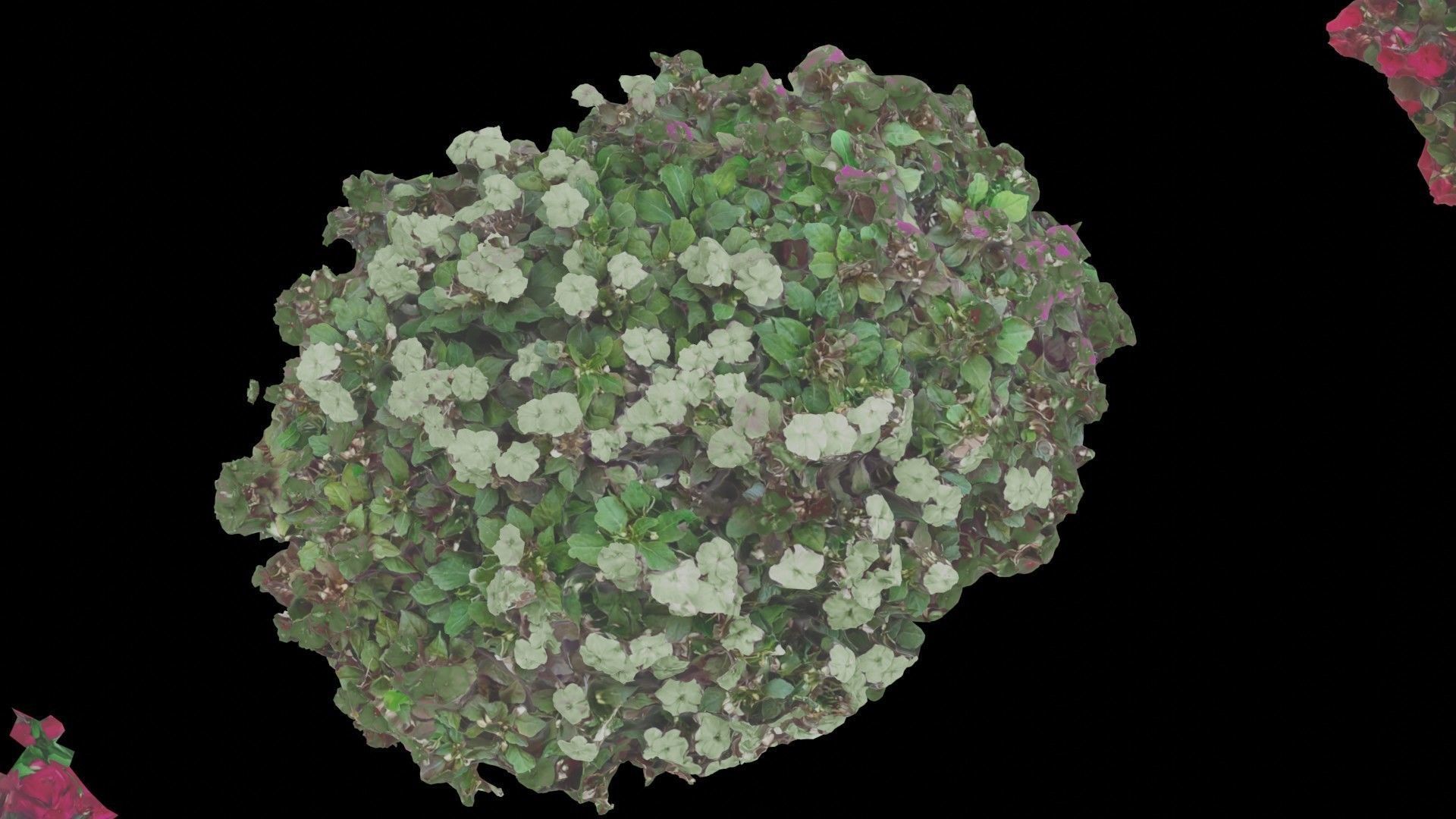 Flowers bush bundle - scanned Low-poly 3D model_27