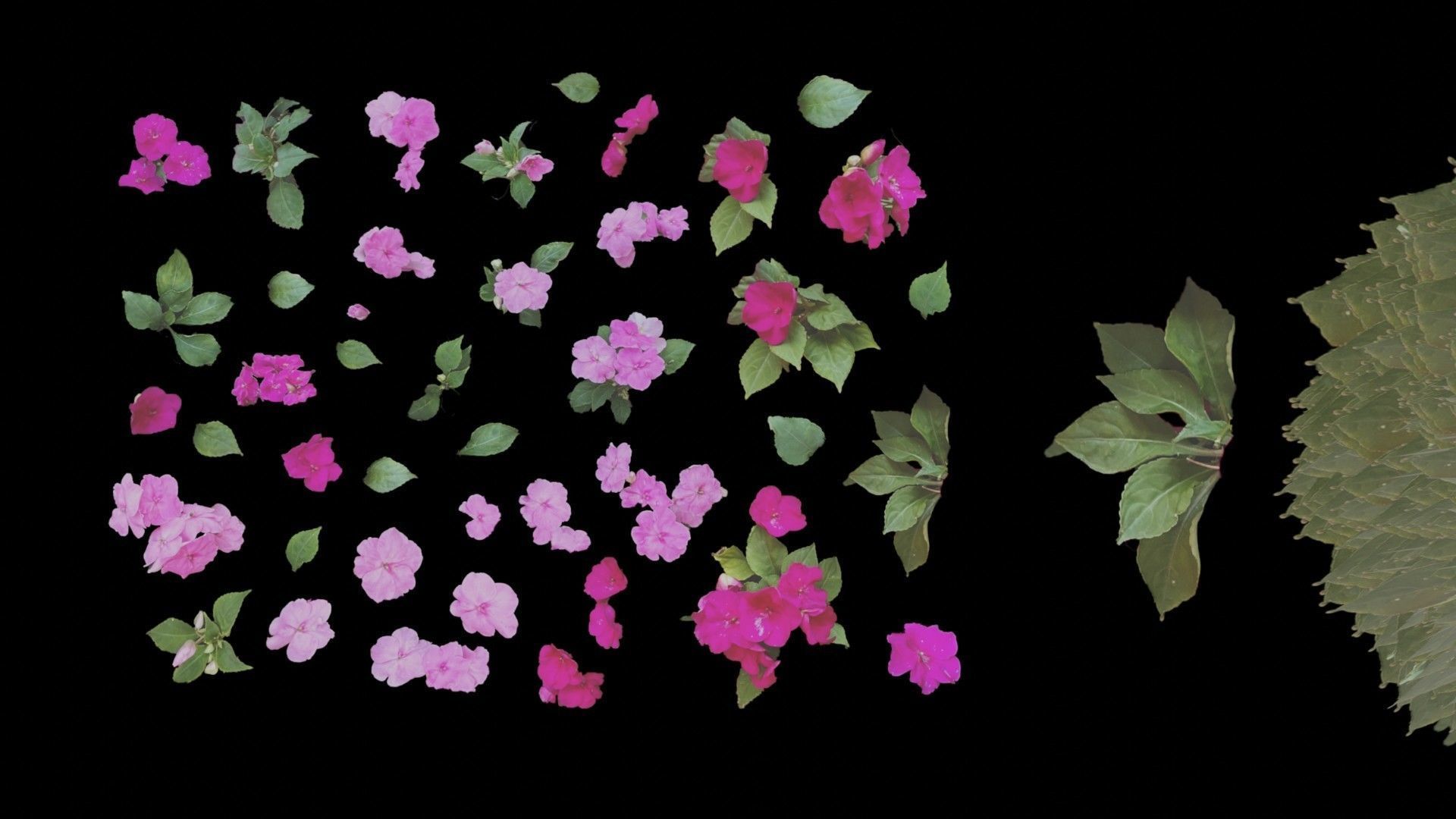 Flowers bush bundle - scanned Low-poly 3D model_8