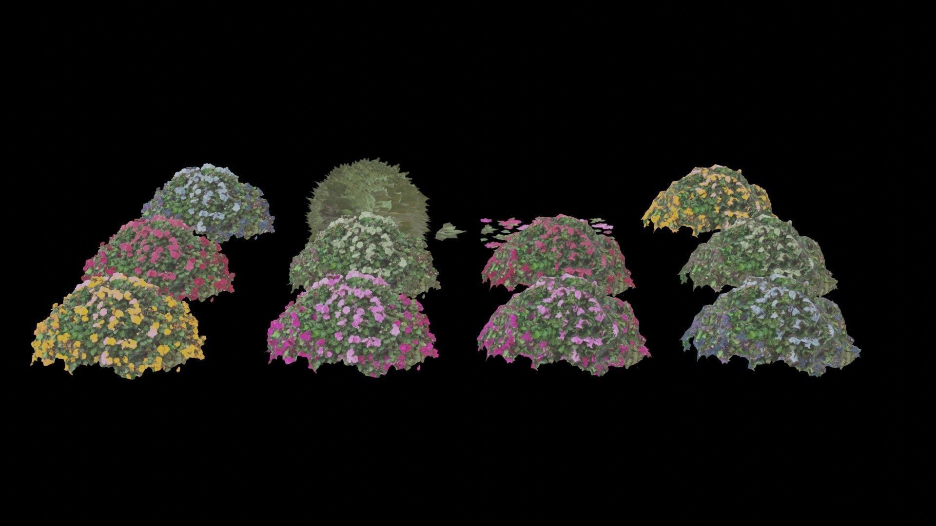 Flowers bush bundle - scanned Low-poly 3D model_25