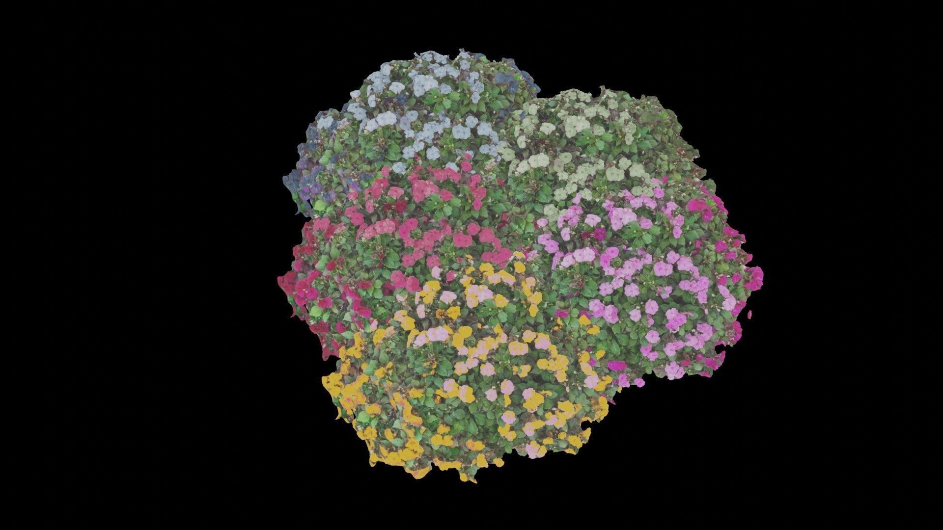 Flowers bush bundle - scanned Low-poly 3D model_52