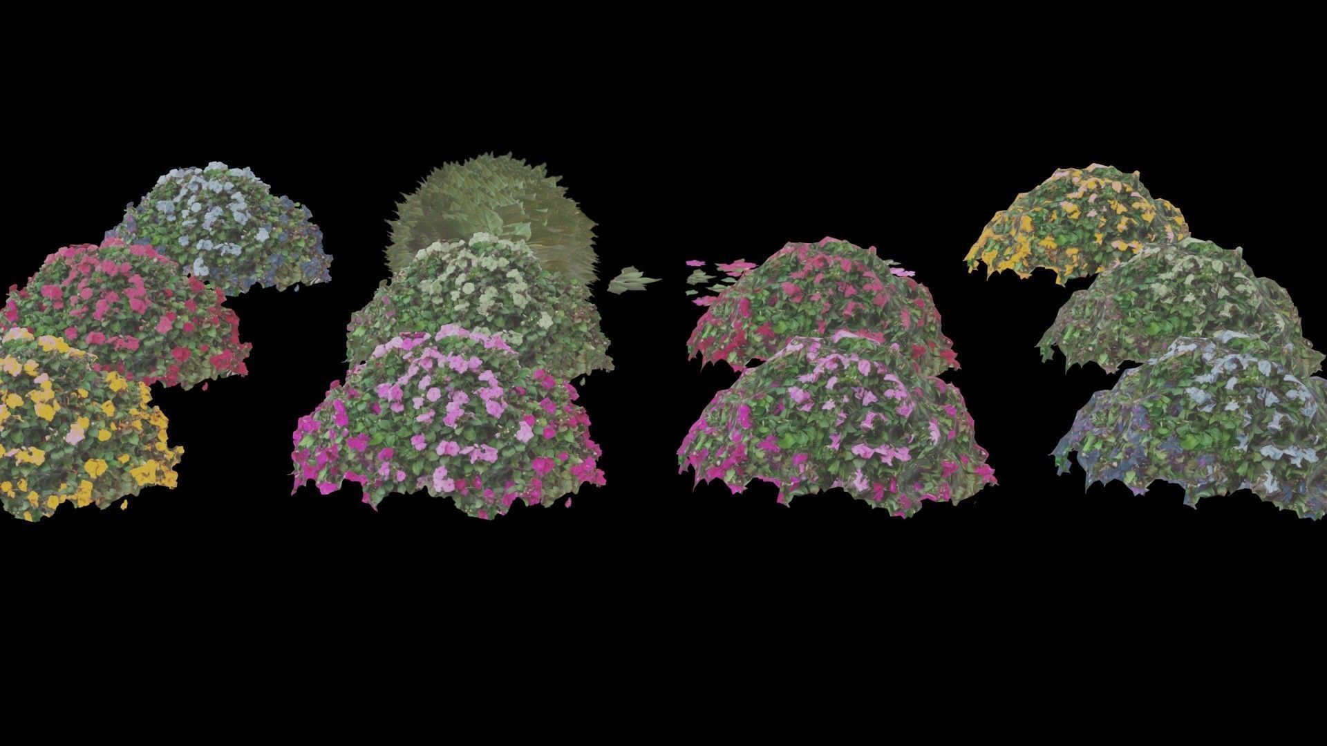 Flowers bush bundle - scanned Low-poly 3D model_38