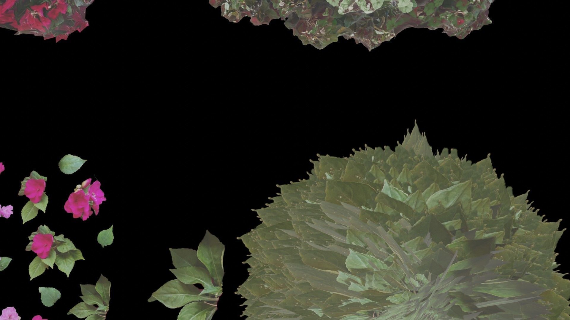Flowers bush bundle - scanned Low-poly 3D model_43
